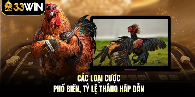 Đá Gà 33WIN - Cược Hấp Dẫn Và Xem Trực Tiếp Sống Động 3 Các loại cược phổ biến, tỷ lệ thắng hấp dẫn