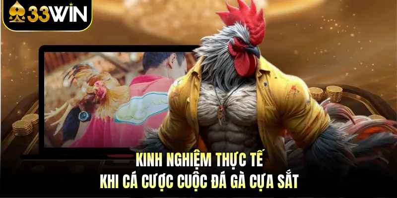 Kinh nghiệm thực tế khi cá cược cuộc đá gà cựa sắt 