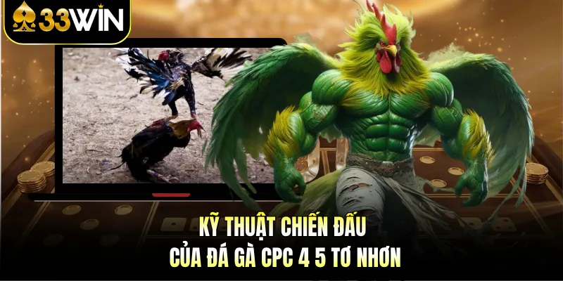 Kỹ thuật chiến đấu của đá gà CPC 4 5 Tơ Nhơn 
